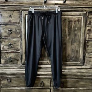 Zyia Everywhere Joggers